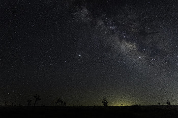 Nature, Trees, Stars, Night, Horizon, Starry Sky HD wallpaper