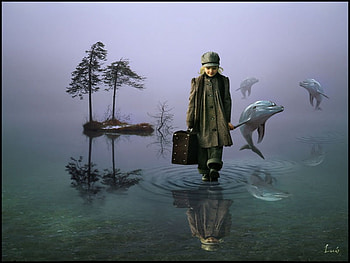 Happy walker, dauphin, water, walk HD wallpaper