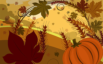 Thanksgiving | | Pinterest | Thanksgiving , and backgrounds HD wallpaper