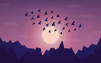 Birds Sky Minimal , birds, sky, minimalism, minimalist, artist, artwork, digital-art HD wallpaper