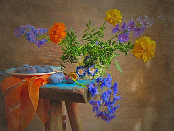 Beautiful Flowers, colors, beautiful, flowers HD wallpaper