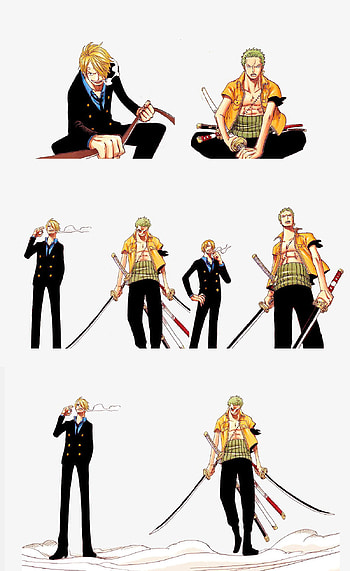 One Piece, Sanji, Anime, Zoro, Manga HD phone wallpaper