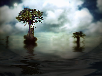 Tree Islands, white, clouds, trees, dreamy, water, dark HD wallpaper