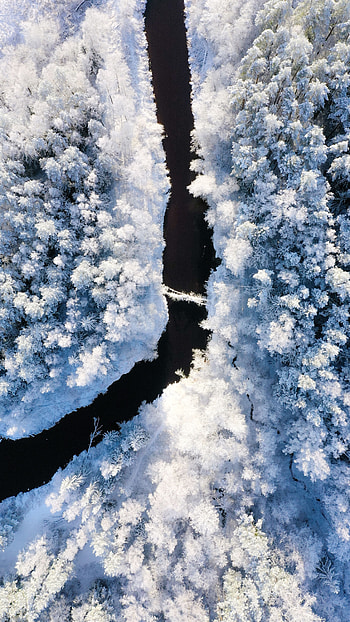 Winter, Nature, Rivers, Trees, Snow, View From Above HD phone wallpaper