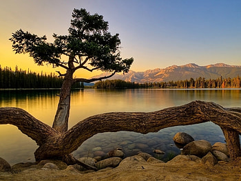 Landscape, Rivers, Trees HD wallpaper