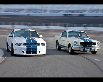 2011 shelby mustang gt 350 duo, 2011, 350, mustang, shelby, duo, gt HD wallpaper