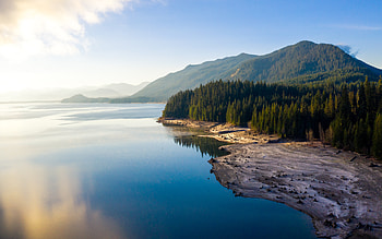 Forest Landscape Nature Reflection , forest, landscape, nature, reflection HD wallpaper