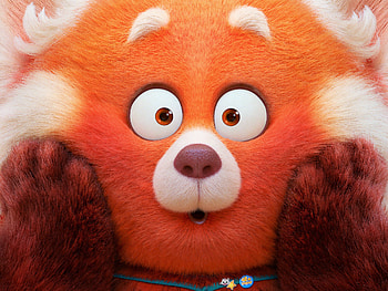 Red Panda Mei, Turning Red HD wallpaper