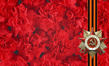 Holidays, Carnations, Holiday, Star, 9Th May, May 9, St. George Ribbon, St. George's Ribbon, Memory, Victory HD wallpaper