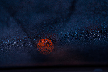 Drops, Dark, Glare, Close-Up, Bokeh, Boquet HD wallpaper