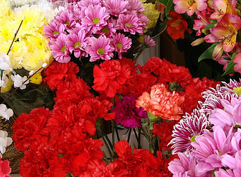Flowers, Chrysanthemum, Carnations, Alstroemeria, Counter HD wallpaper