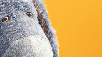 Eeyore In Christopher Robin 2018 Movie , eeyore, christopher-robin, 2018-movies, movies, disney HD wallpaper