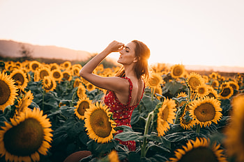 Sunflowers Field Dress Women , women, girls, field, sunflowers HD wallpaper