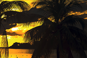 Jamaican Sunset, jamaican, palm, ocean, sunset HD wallpaper