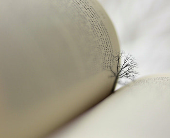 LIFE, literature, graphy, bw, wp, tree, story, creative, book HD wallpaper