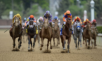 Sports, Horses, Horse Racing, Kentucky Derby, Kentucky Derby 2015, Kentucky Derby Odds HD wallpaper