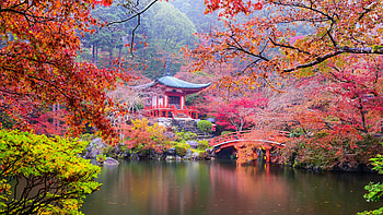 Kyoto, Fall , Japan, Scenic landscapes HD wallpaper