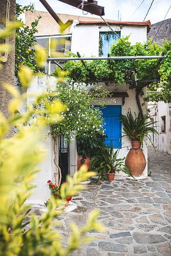 A que Mediterranean alley with vibrant plants and traditional architecture. HD phone wallpaper