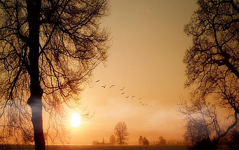 Sunset, beautiful, nature, amazing HD wallpaper