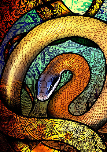 Art, Patterns, Multicolored, Motley, Snake HD phone wallpaper