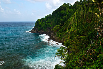 Dominica Island, Carnival celebration, Colourful festivities, Cultural heritage HD wallpaper