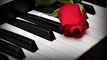 Piano, High-definition beauty, Musical marvel, Elegance HD wallpaper