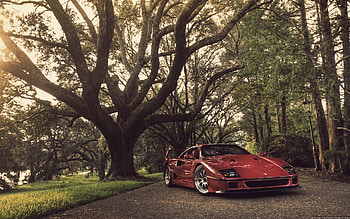 Transport, Auto, Ferrari HD wallpaper