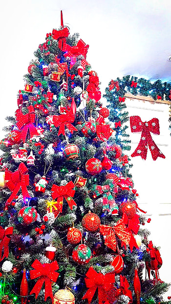 Christmas tree, Christmas decoration, Jul, Tannen bau, X-mas, Santa Claus, Craciun fericit, Christmas time, Noel, Papa noel, Saint nick, Xmas, Decoration, Santa, Happy New year, Winter, Mos Crăciun, Brad de craciun, Craciun, Merry Christmas HD phone wallpaper