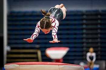 Gymnastics, Women's, Artistic, Gymnasticsnz HD wallpaper