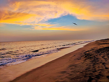 Sea, cloud, sky, nature, dusk, sunset, golden, landscape HD wallpaper