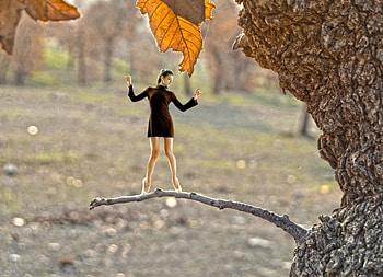 Balance..., moments, r, girl, hq, tree, ballerina, branch, fantasy, autumn HD wallpaper