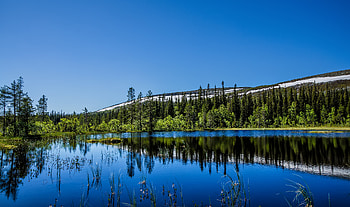 Nature, Trees, Reflection, Hill HD wallpaper
