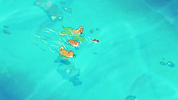 Cute Corgi Dogies Swimming Live , Doggie Corgi HD wallpaper