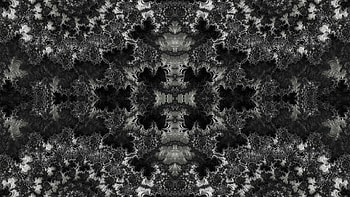 Trippy Psychedelic Fractal, trippy, psychedelic, aesthetic, Abstract, fractal HD wallpaper