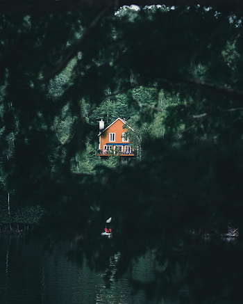 Nature, Bush, Building, Lake, Forest, House HD phone wallpaper