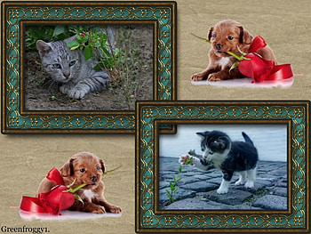 CUTE KITTENS, CUTE, KITTENS, , TWO HD wallpaper