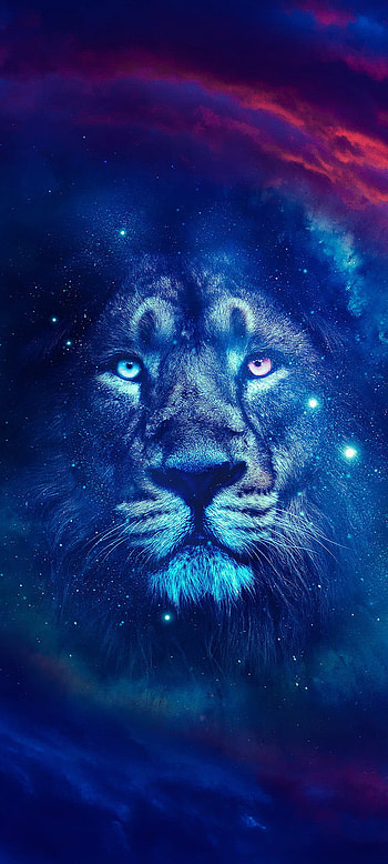 Lion Galaxy, electric blue HD phone wallpaper