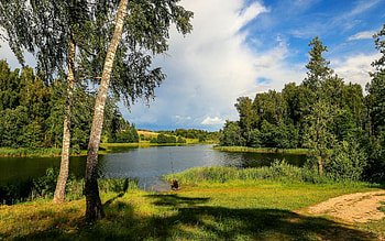 Lake in Latvia, trees, Latvia, birches, grass, lake HD wallpaper