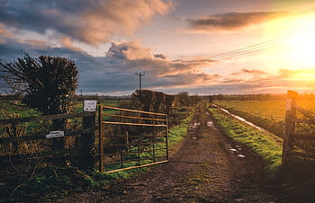 Peaceful rural landscape with open gate and sunset sky, highlighting a dirt path through farmland. HD wallpaper