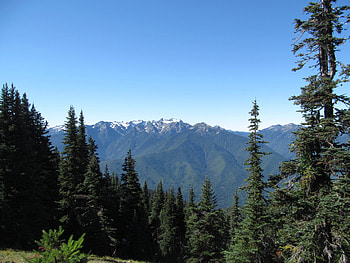 Nature, Trees, Mountains, Forest, Spruce, Fir, Dahl, Distance HD wallpaper