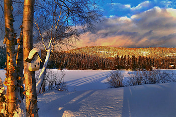 Winter landscape, Shadows, Sunset, Canada, Hill, Forest HD wallpaper