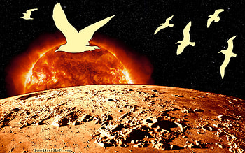 Tramonto Lunare - Moon Sunset, moon, sole, luna, tramonto, gabbiani, seagulls, sun, sunset HD wallpaper