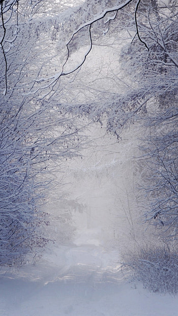 Winter Background, Ice HD phone wallpaper