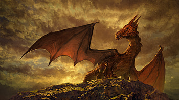 Dragon, animal, tail, myth HD wallpaper