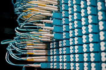 Close-up of a network patch panel with connected blue fiber optic cables. HD wallpaper