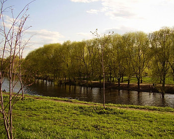 Green river, nature, rivers HD wallpaper