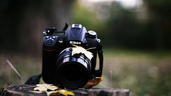 Nikon Nature, camera, nikon, graphy, blur HD wallpaper
