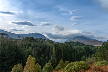 Nature, Trees, Sky, Clouds, Forest, Hill HD wallpaper