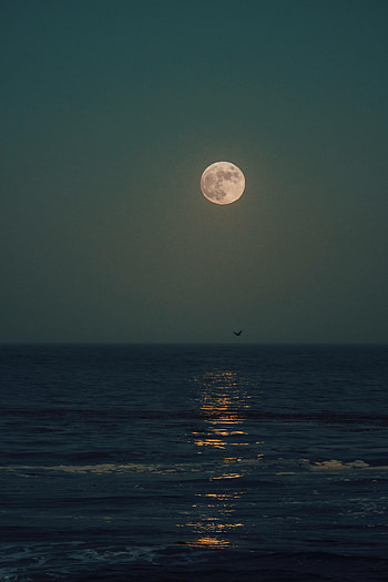 Nature, Sea, Night, Moon, Horizon, Glare HD phone wallpaper