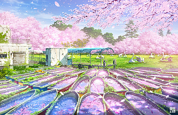 Boats with spring sakura petals, Boats, with, petals, spring sakura, anime HD wallpaper